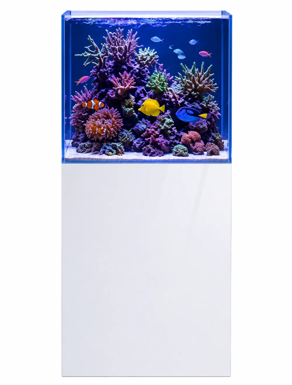 Weißer Dupla Marin Cube Stand 80 Unterschrank (45 x 45 x 90 cm) mit Cube-Aquarium oben: FSC®-zertifiziertes Holz, weiße Glasfront, abgestimmt auf Ocean-/Scaping-Cube, belastbar bis 150 kg