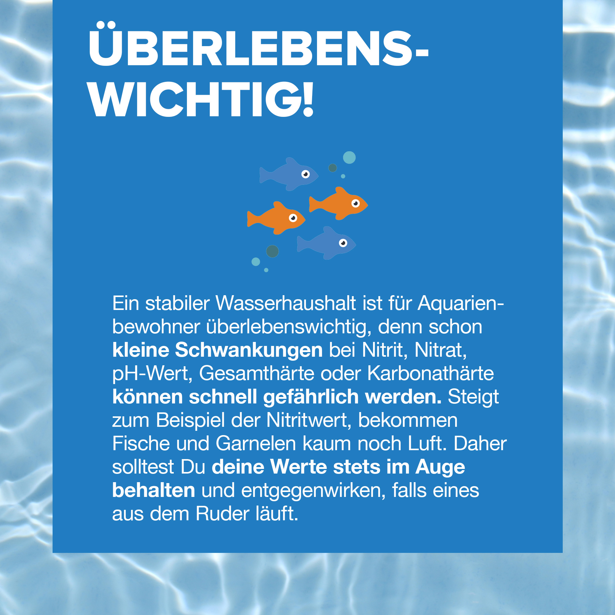 Blaues Infoplakat zu Aquarium-Wasserwerten mit Fisch-Icons