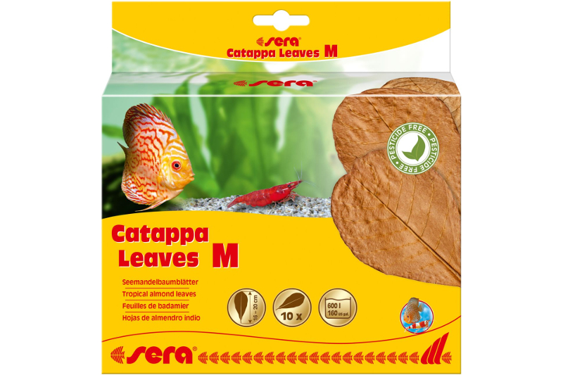 Sera Catappa Leaves M 16 – 20 cm, 10 Stück