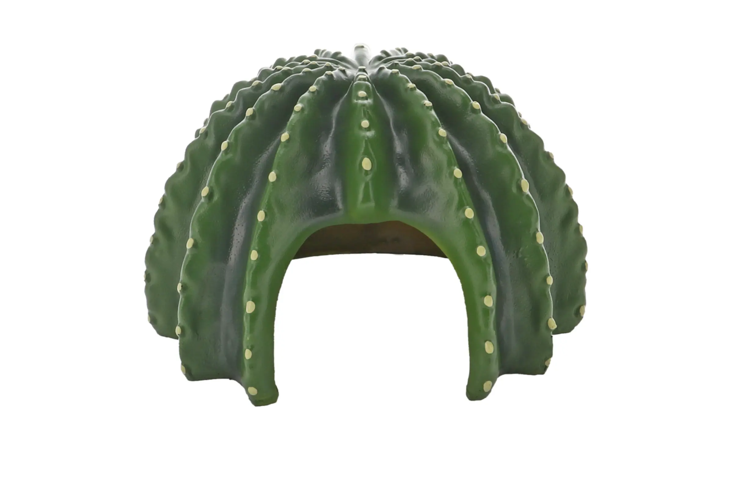 Hobby Cactus Home 2