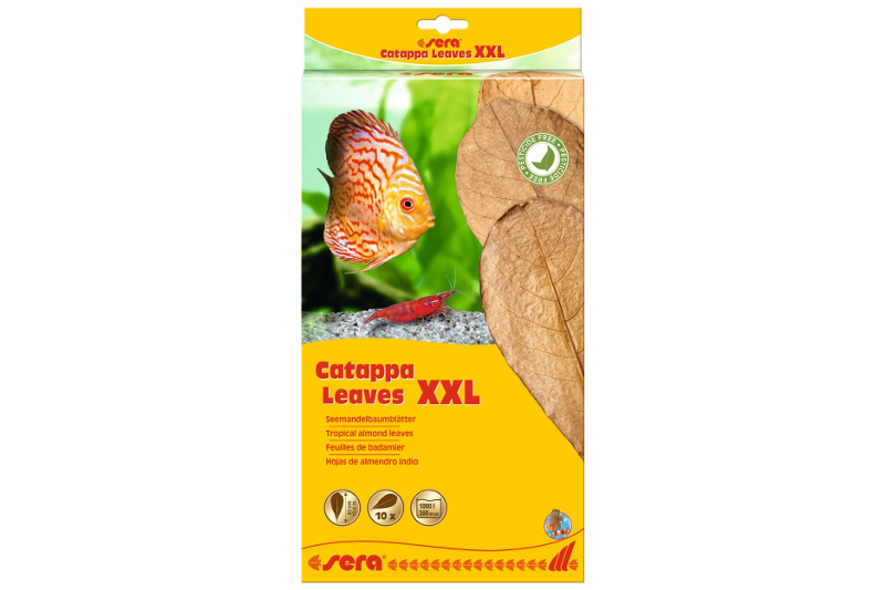 Sera Catappa Leaves XXL 30 – 35 cm, 10 Stück