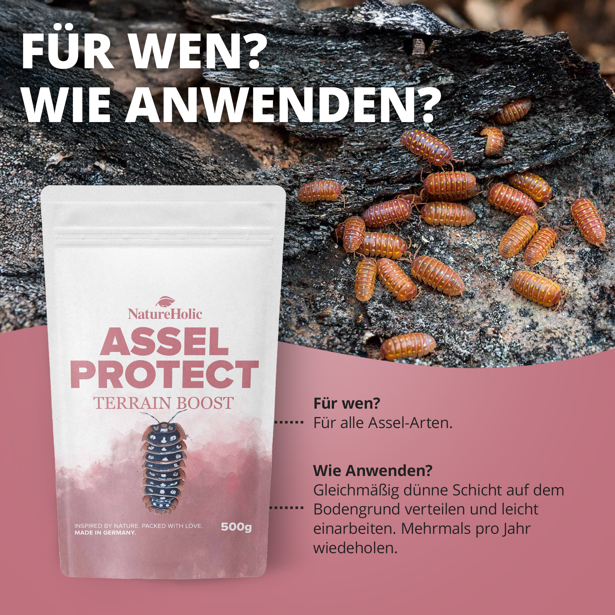 Produktbeutel Assel Protect neben Asseln auf Rinde