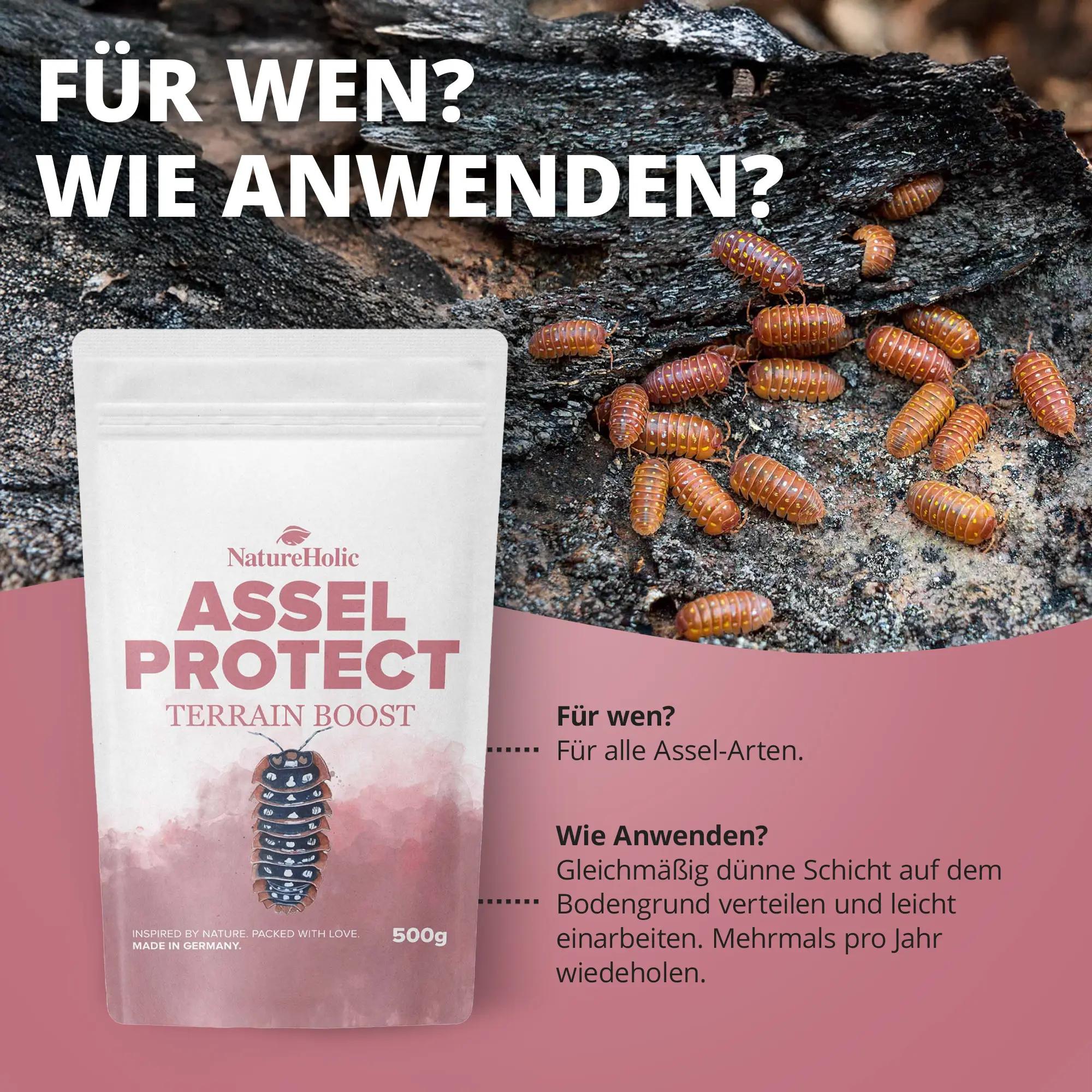 Produktbeutel Assel Protect neben Asseln auf Rinde