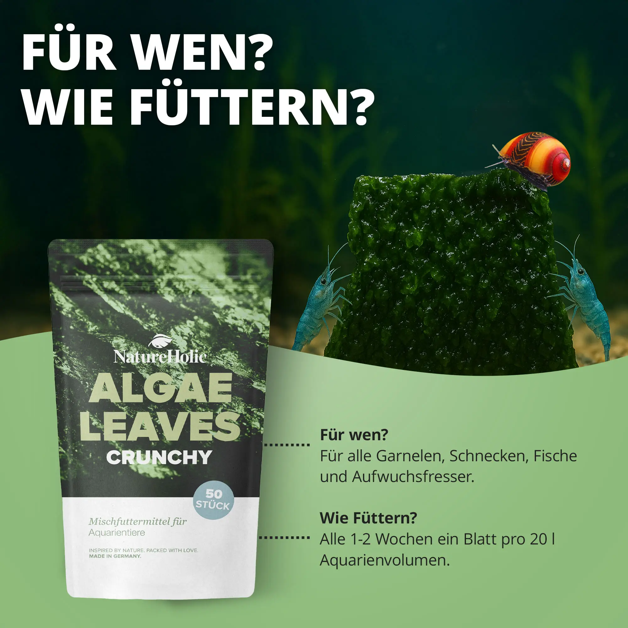 Algae Leaves Crunchy Packung mit Algenblatt und Garnelen