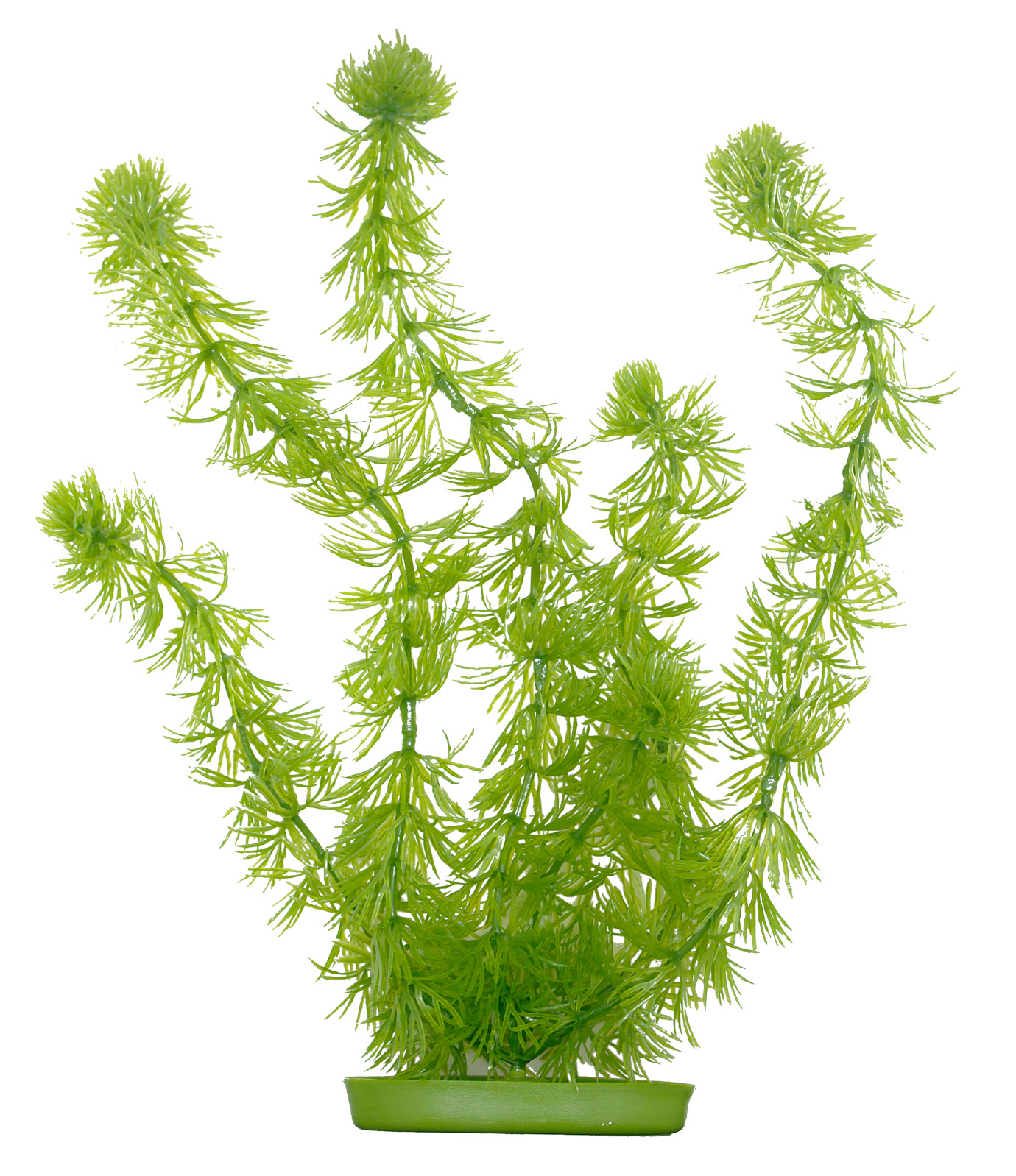 Marina Aquascaper Hornwort 30 cm Marina Aquascaper Hornwort 30 cm