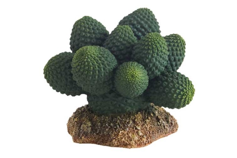 Hobby Kaktus Atacama, Kunstpflanze