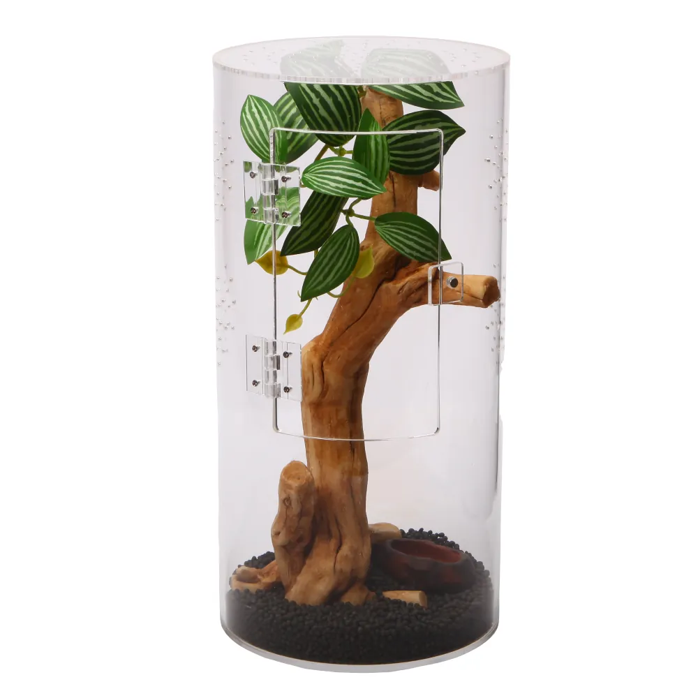 Hobby Terra Fix & Easy Insect Line rundes Acrylterrarium 15 × 15 × 30 cm mit Fronttür, Drainagegrund, Holzdeko und Pflanze – ideal für Springspinnen und kleine Insekten (nahtlose Acrylwand für Rundumsicht)