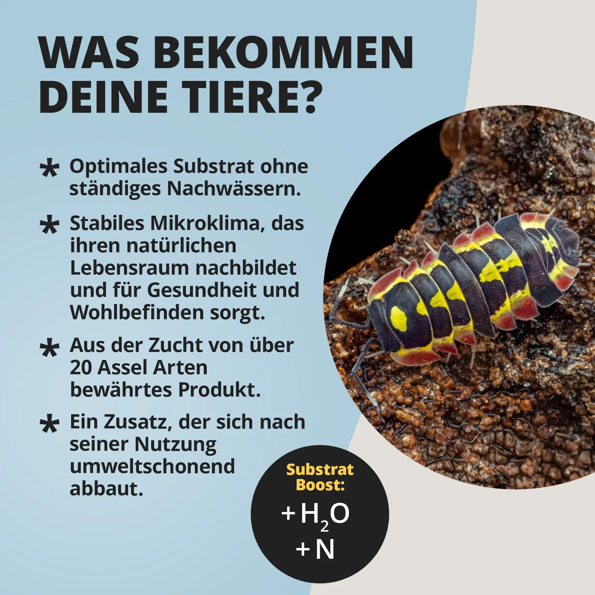Bunte Assel auf Substrat neben Produktinfos