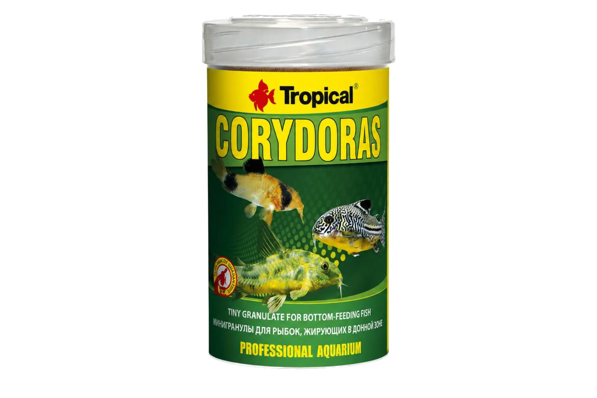 Tropical Corydoras Granulat 250 ml – KI-generierte Abbildung aus Produktreferenz
