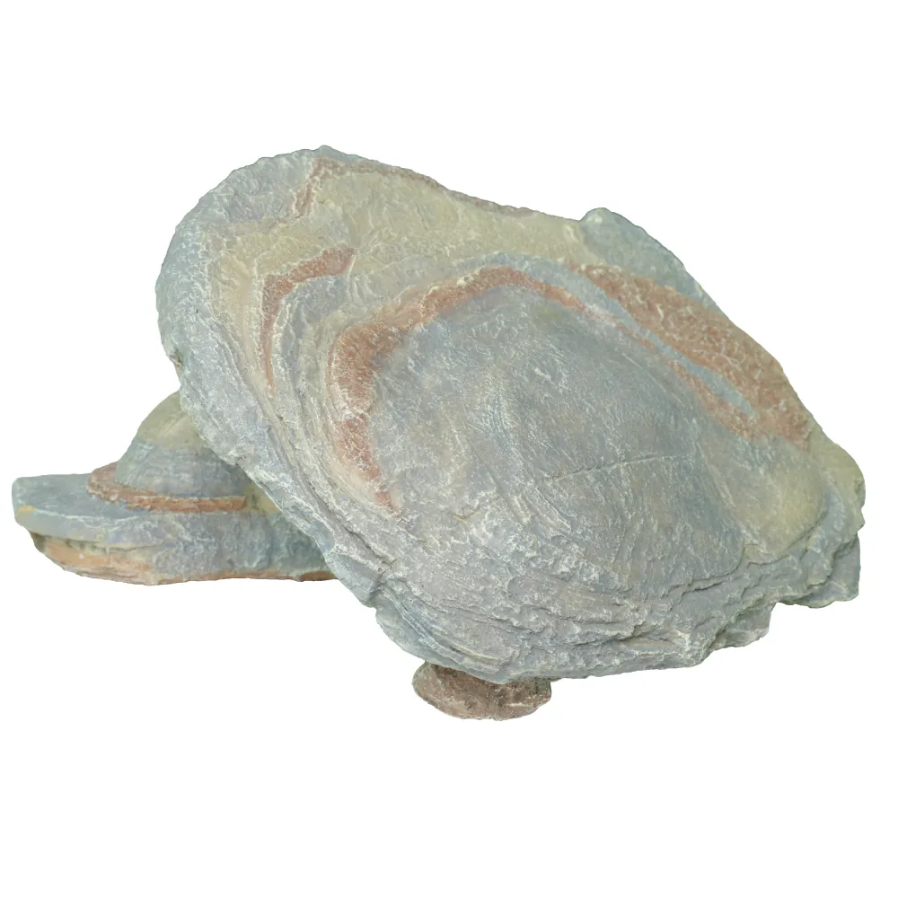 Geschichteter flacher Schiefer-Felsen mit natürlicher Struktur und Farbschichten, ideal als Dekoration oder Versteck im Aquarium und Terrarium
