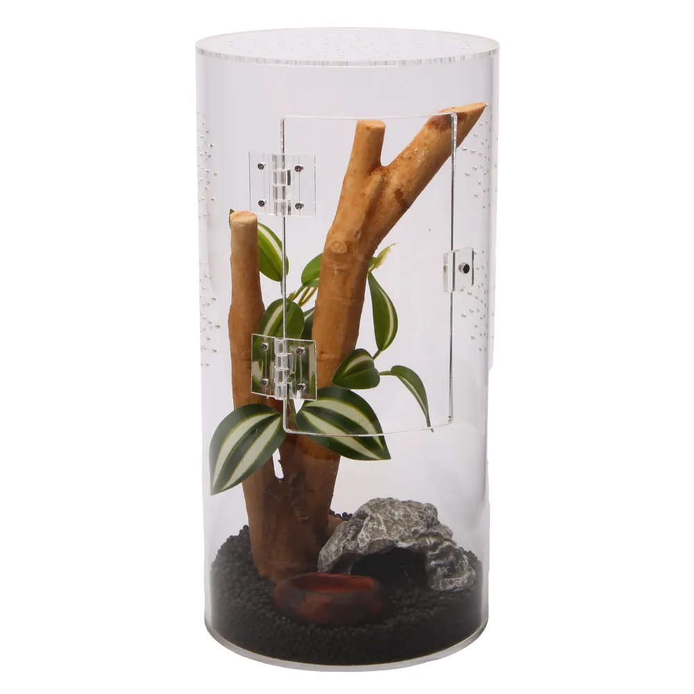 Rundes Acrylterrarium Hobby Terra Fix & Easy Insect Line, 15×15×30 cm, mit Fronttür, Innenausstattung (Ast, Pflanze, Versteck) und Drainagegrund – nahtlose Sicht von allen Seiten für Springspinnen und junge Gottesanbeterinnen