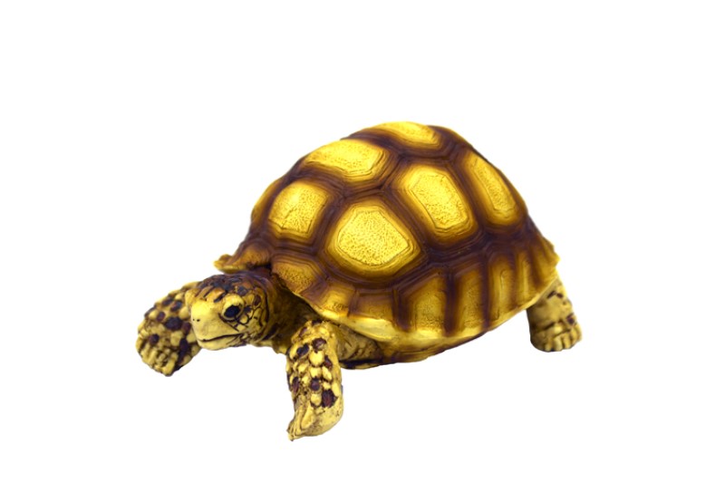 Hobby Turtle 2