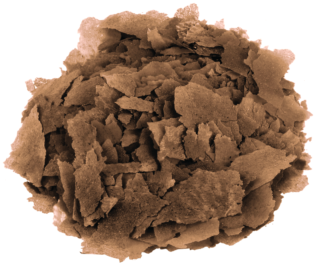 Fluval Bug Bites Tropical Flakes 100ml