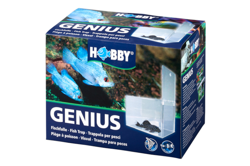 Hobby Genius Fischfalle, 21 x 13 x 15 cm