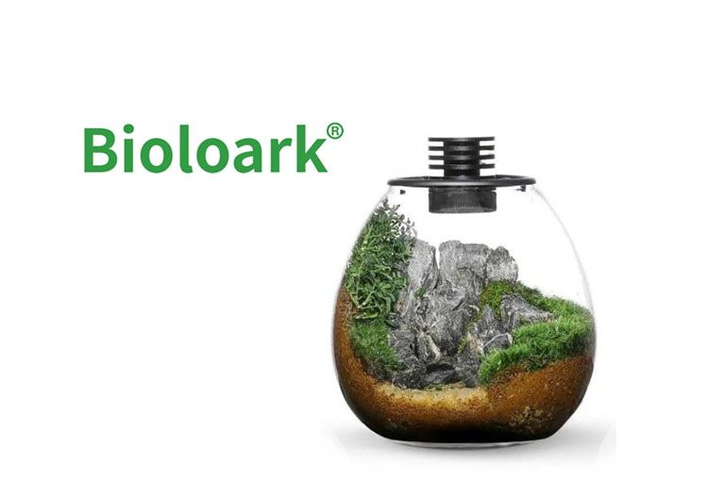 Bioloark Bio Bottle PD170 Wabi-Kusa / Biosphäre, Kugelvase