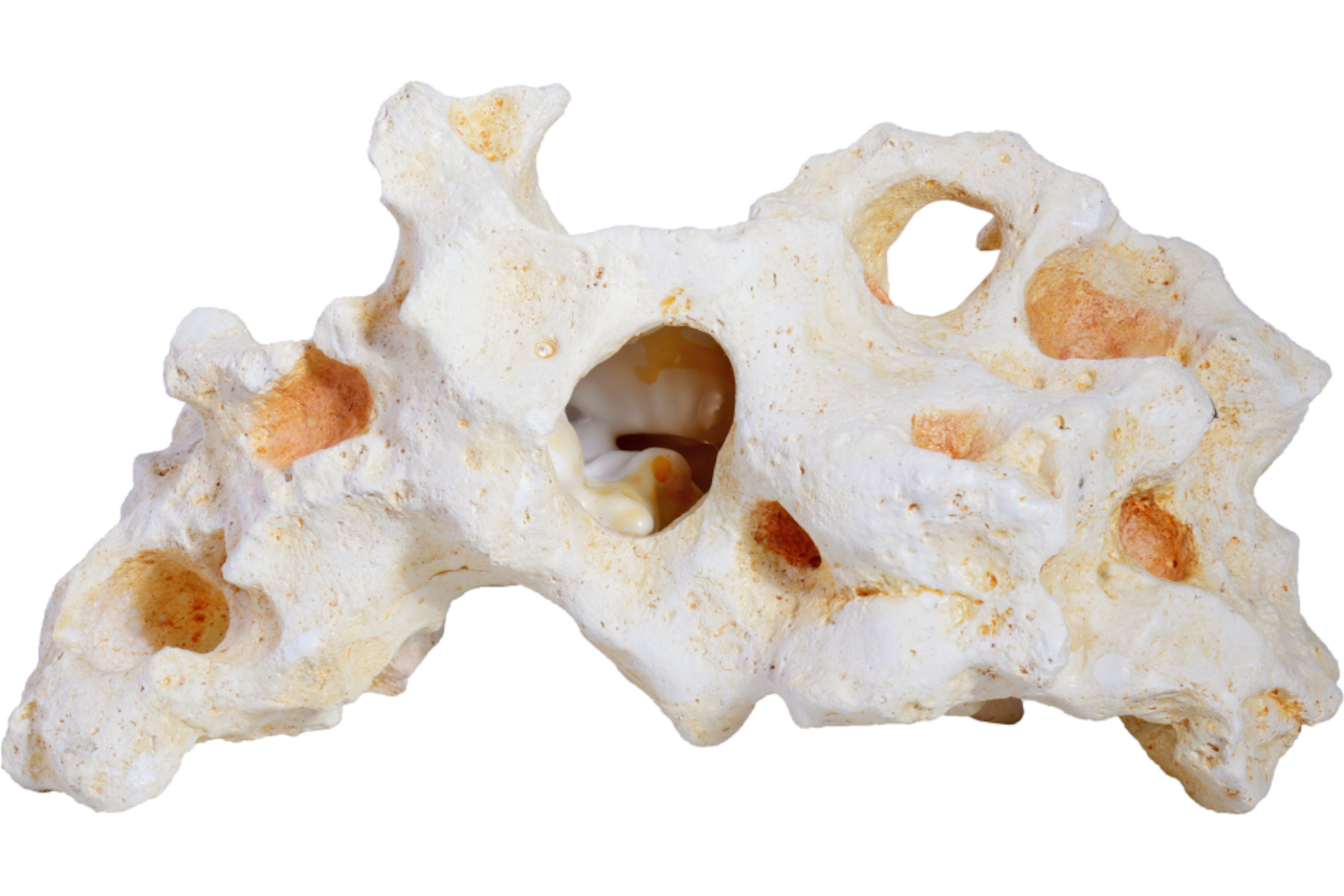 Hobby Cavity Rock 1 (22 × 11,5 × 12 cm)