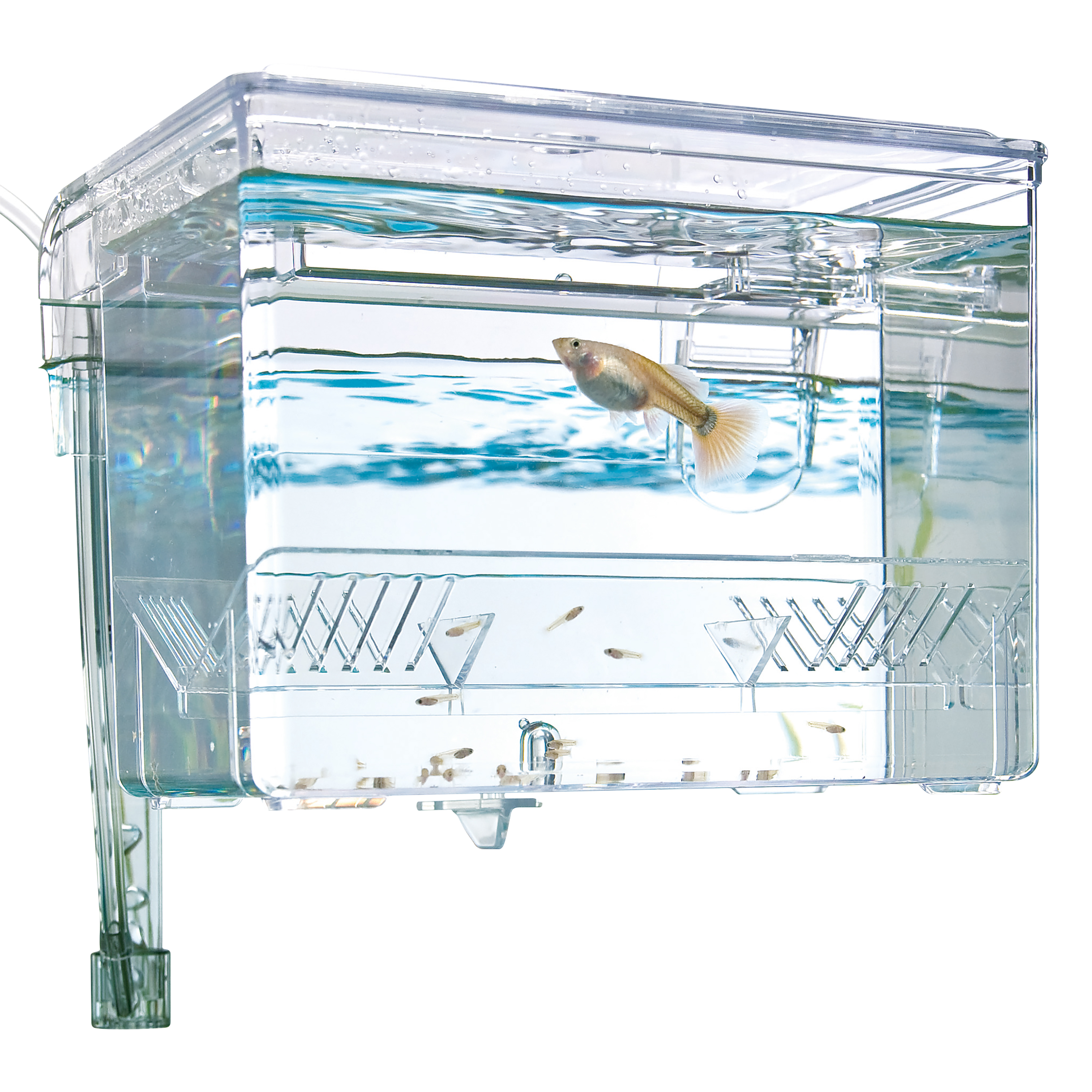 Fluval Hang on Aufzuchtbecken M (1,2 l)