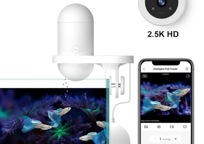 Intelligent Visual Fish Feeder - Smarter Futterautomat mit Kamera