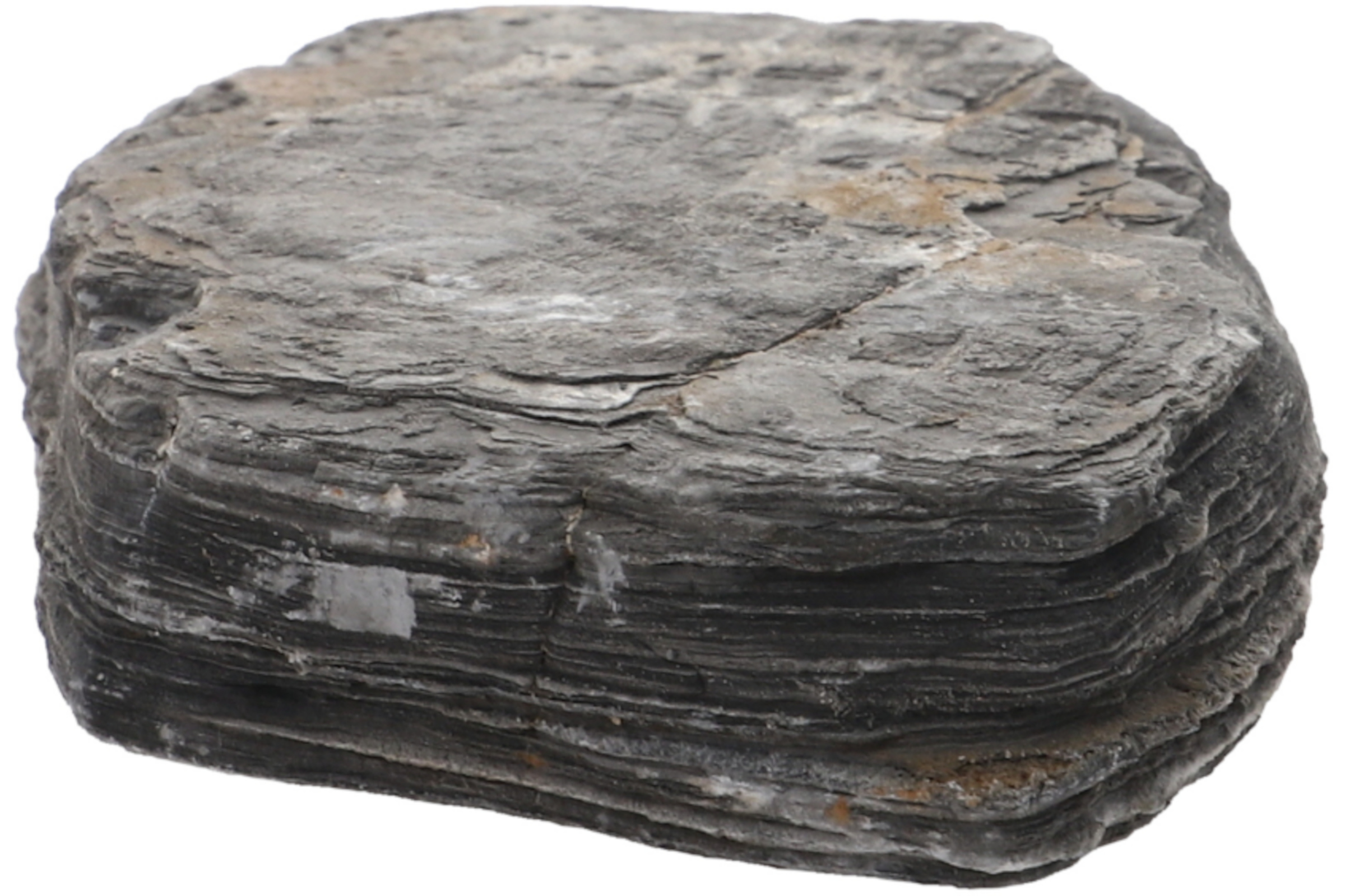 Hobby Shadow Rock M (1–2 kg)