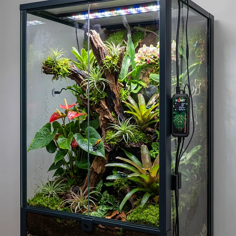 Regenwald-Terrarium mit Moos, Bromelien und Pflanzen; außen an der Scheibe montiertes Hobby Biotherm Hygro Control Display mit Kabel zum Plug-and-Play-Sensor, digitaler Feuchtigkeitsregler für Terrarien