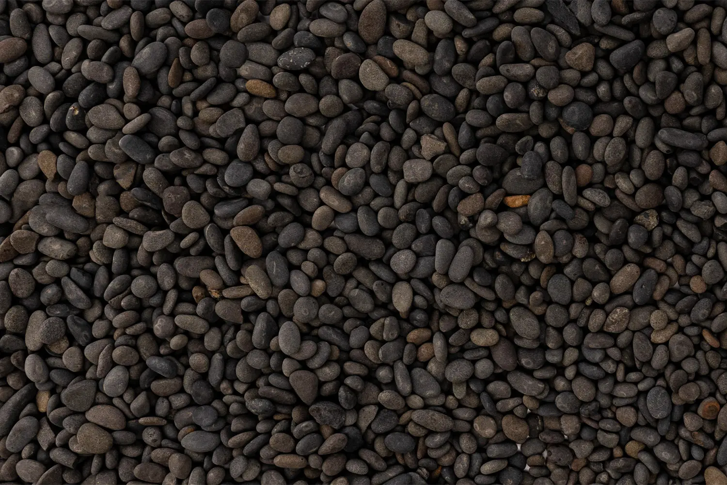 Nahaufnahme dunkler, glatter Kieselsteine
