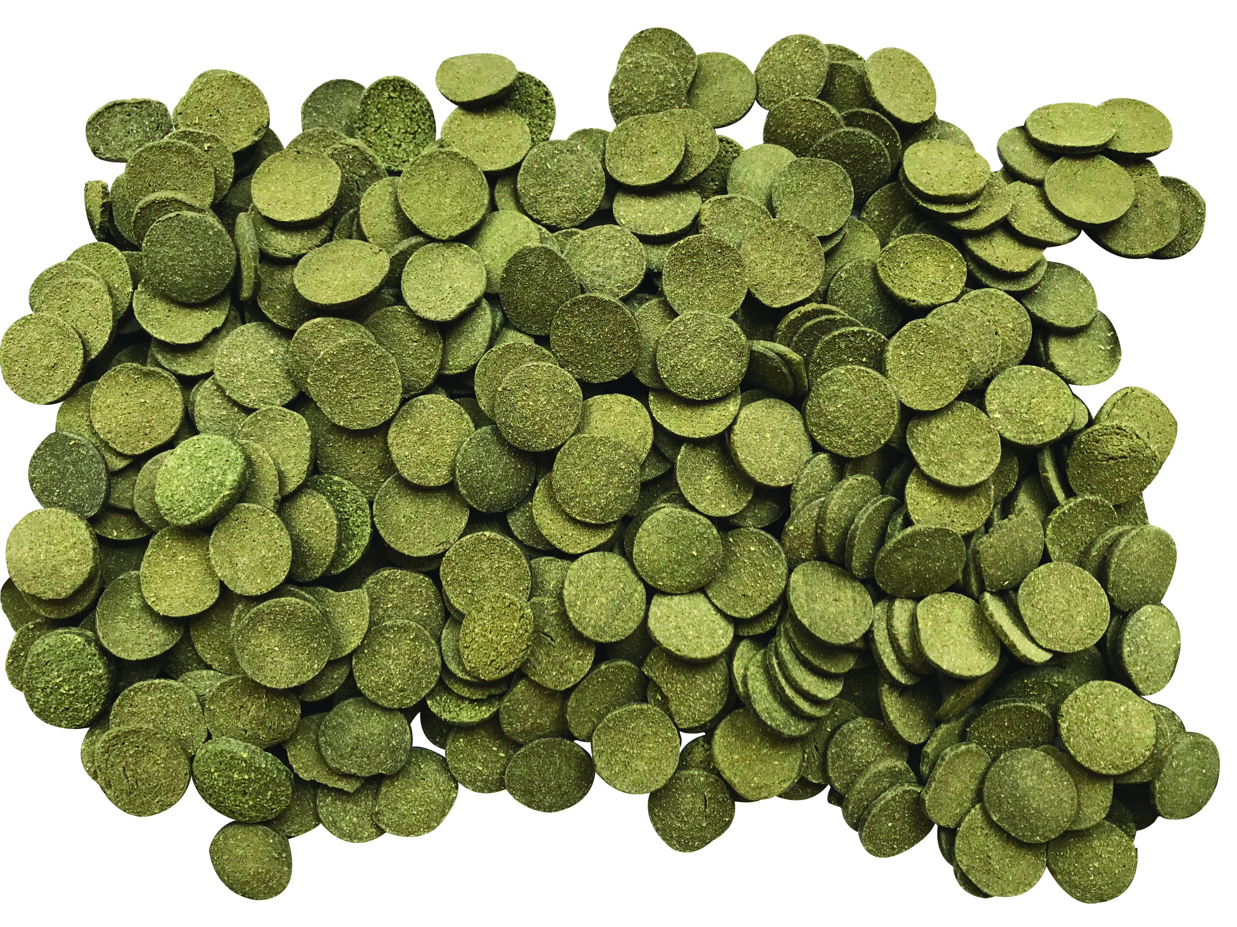Fluval Bug Bites Algae Wafers 100 ml