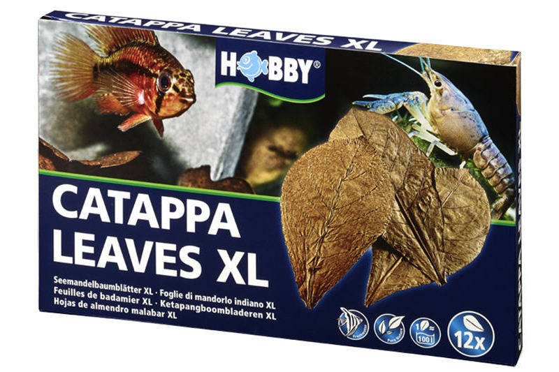 Hobby Catappa Leaves XL, Seemandelbaumblätter, 12 St.