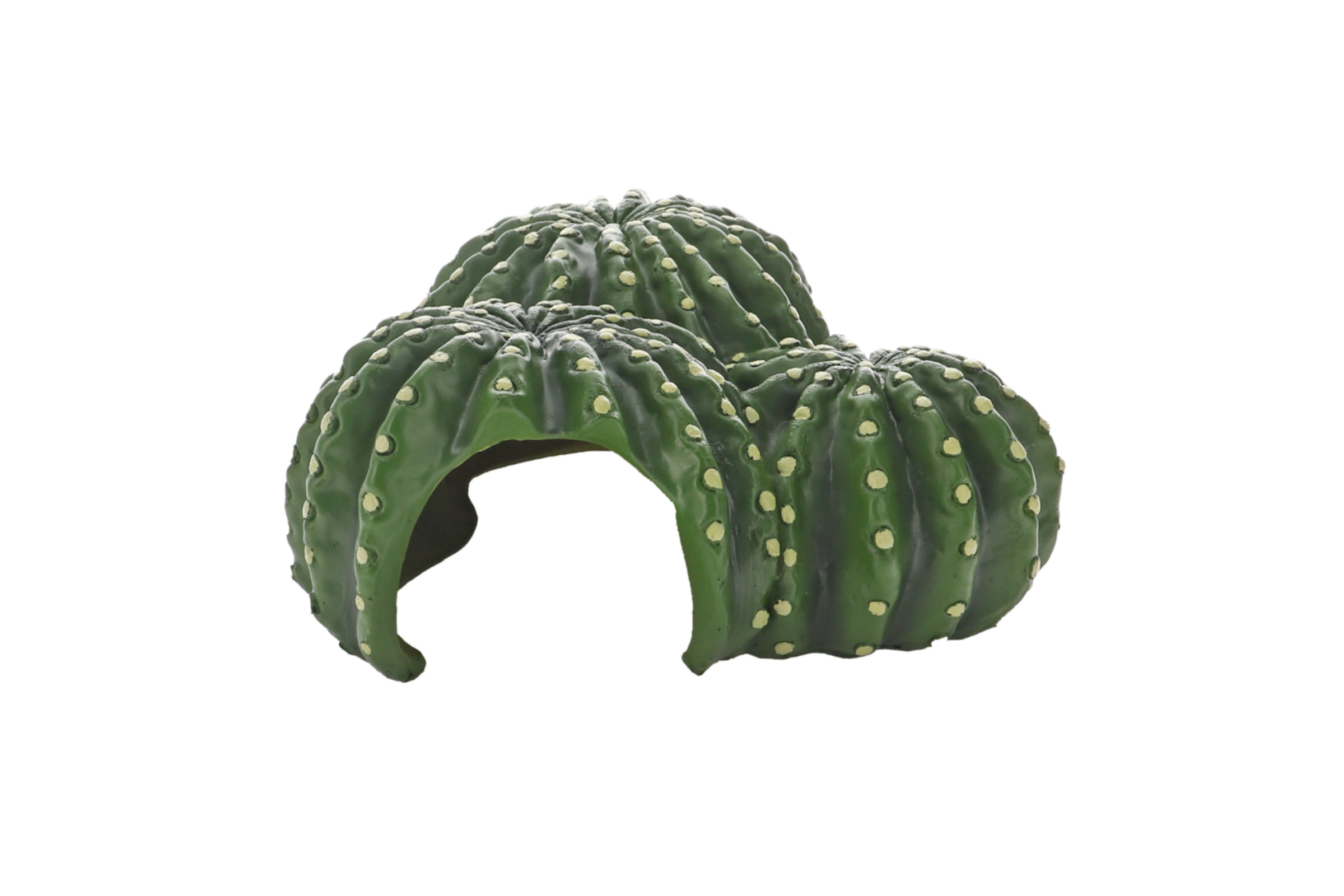 Hobby Cactus Home 1