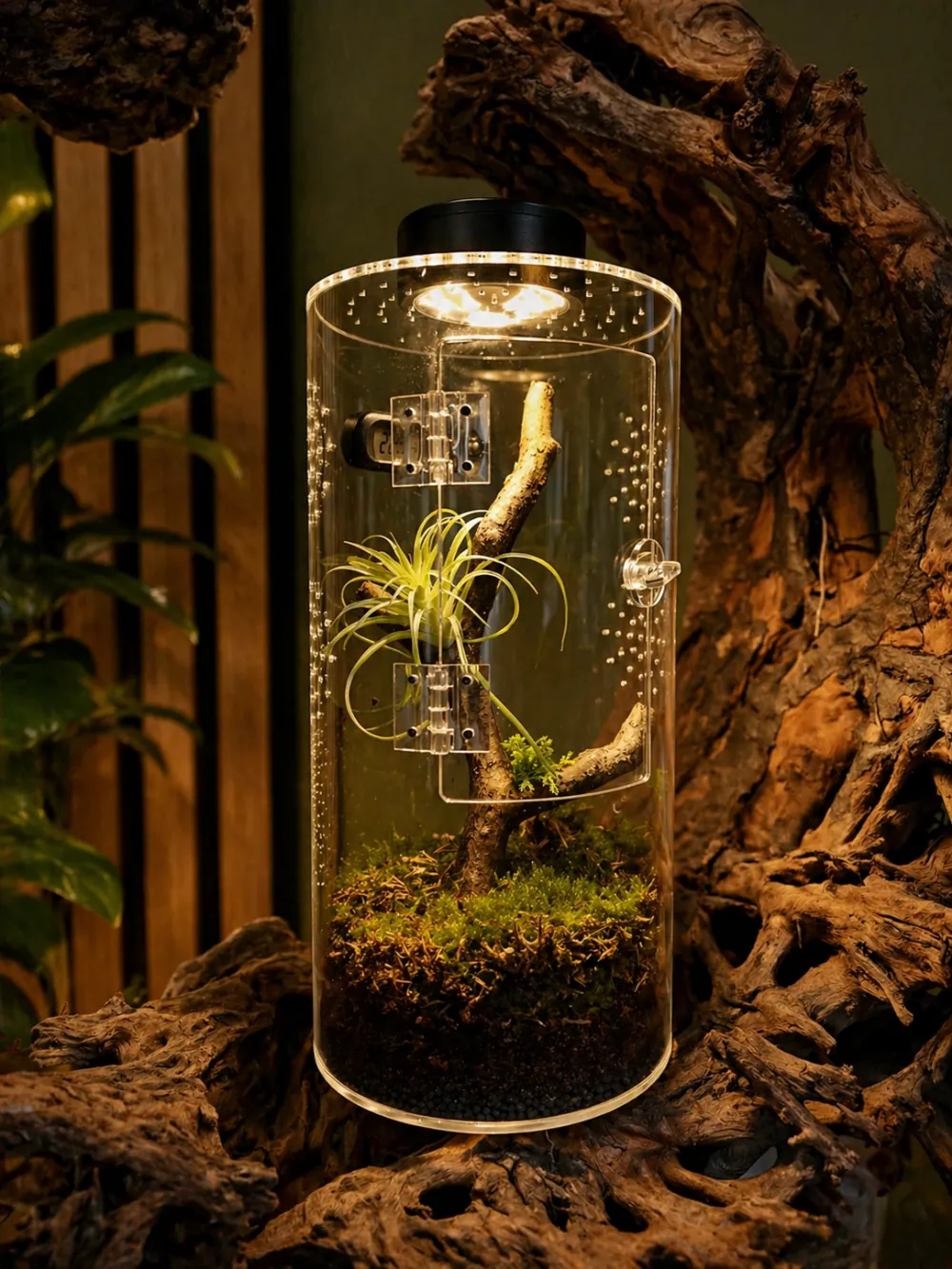 Hobby Terra Fix & Easy Insect Line Insektenterrarium: rundes transparentes Acrylterrarium 15×15×30 cm mit Moosboden, Ast, Innenklappe und 360°-Sicht – ideal für Springspinnen und kleine Insekten, inkl. Drainagegrund