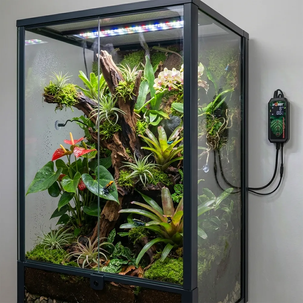 Regenwald-Terrarium mit üppiger Bepflanzung und angeschlossenem Hobby Biotherm Hygro Control Hygrostat an der Wand; digitales Feuchte-Display und Kabel sichtbar, Gerät steuert Terrarien-Befeuchtung