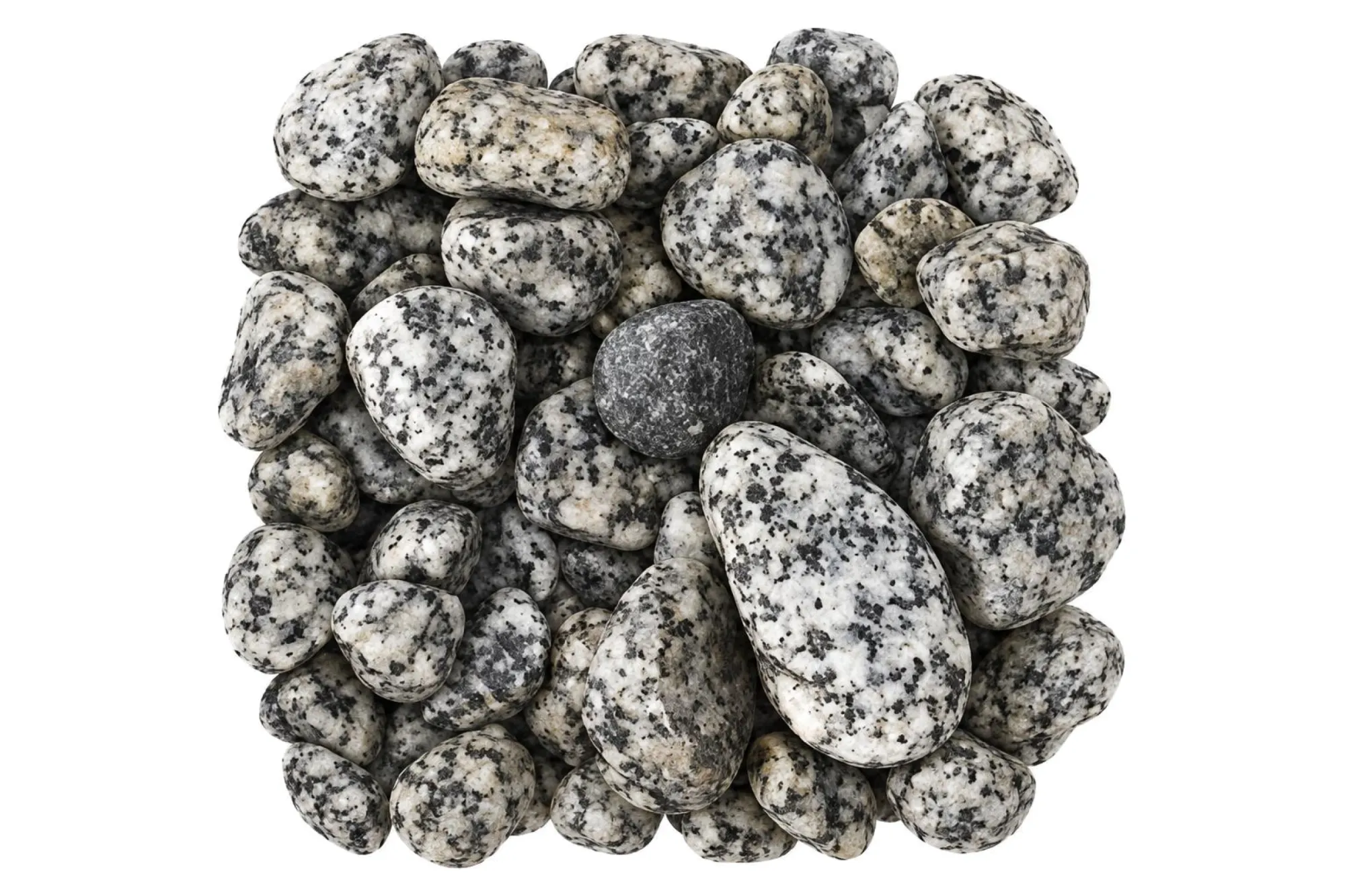 Dupla Ground nature Dalmatiner Stone 2 kg – KI-generierte Abbildung aus Produktreferenz