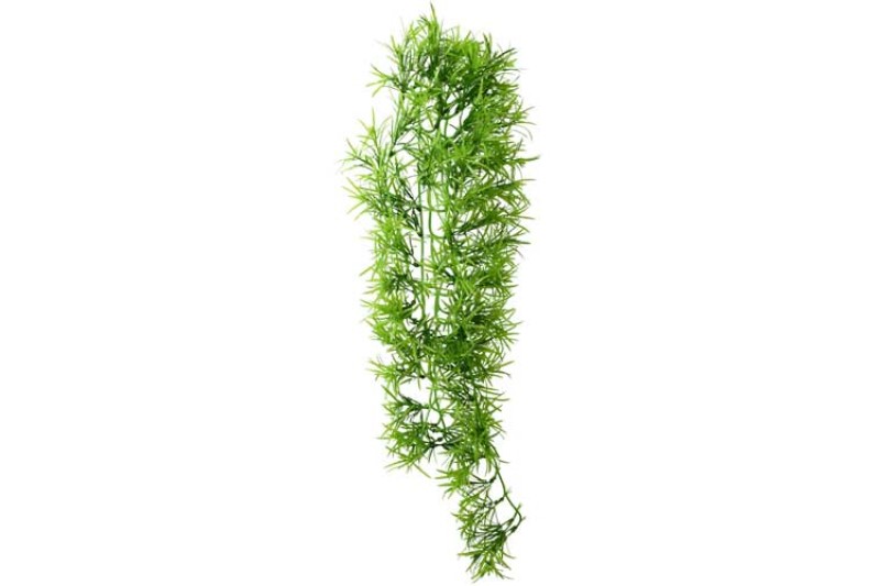 Hobby Climber Tropica, 70 cm