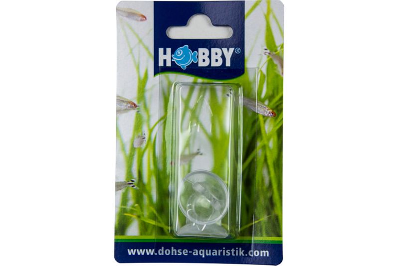 Hobby Thermometersauger mit Loch, 2 St.