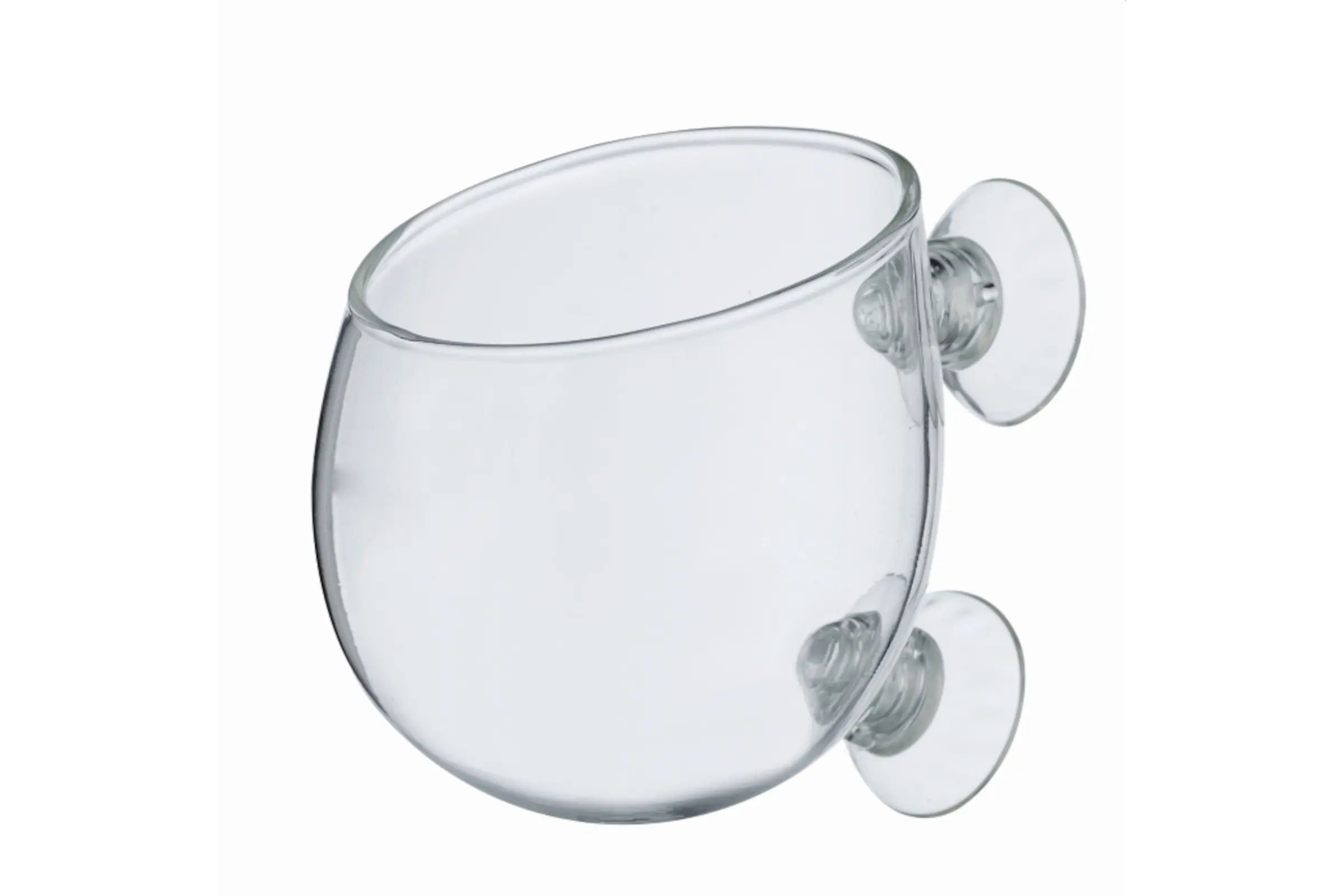 Chihiros Glas Vase für Pflanzen, Glas-Pflanztopf