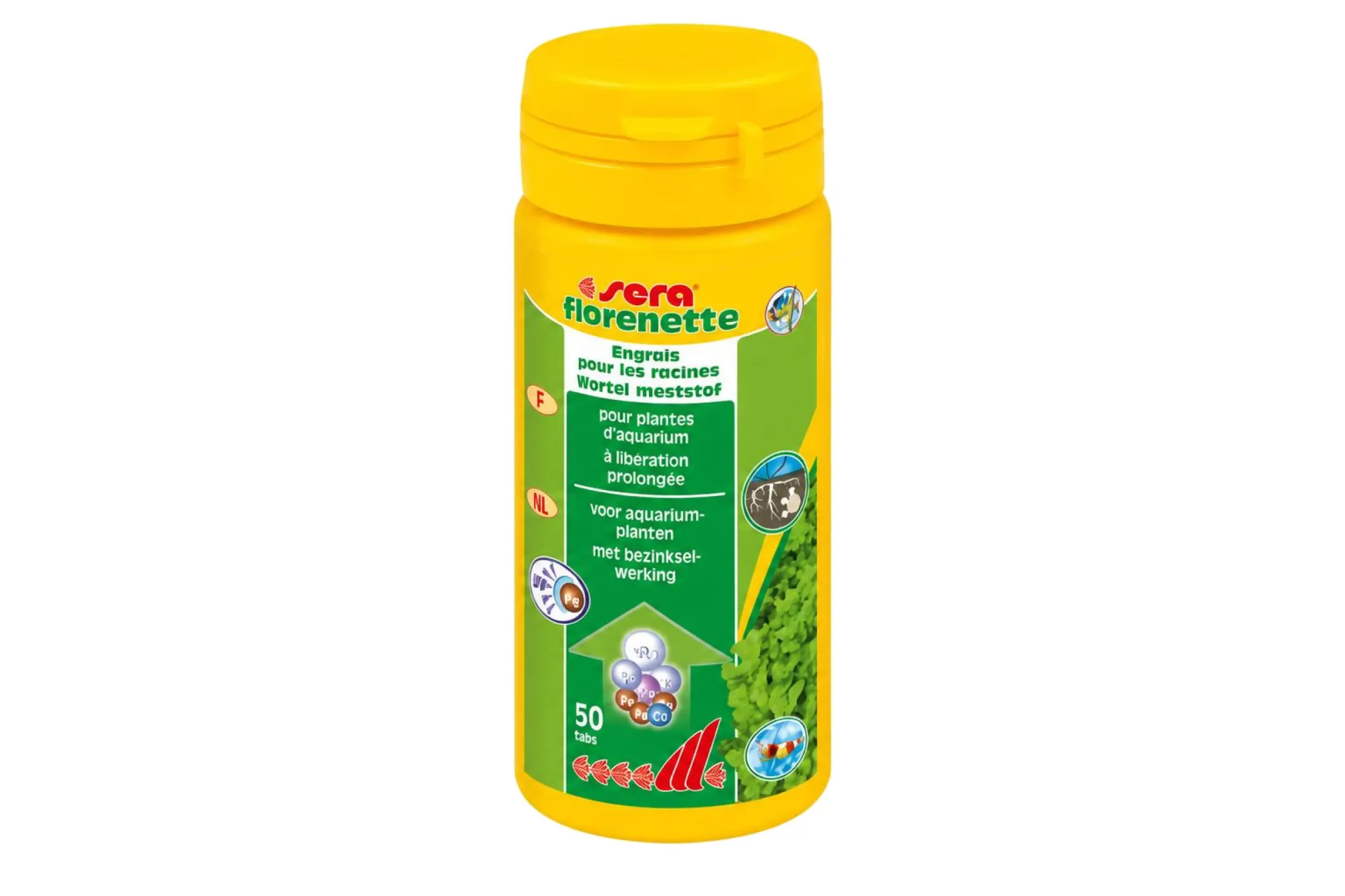 Sera florenette 50 Tabletten – KI-generierte Abbildung aus Produktreferenz
