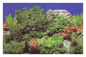 Hobby Fotorückwandzuschnitt Pflanzen 8/Marin Blue, 50 x 120 cm
