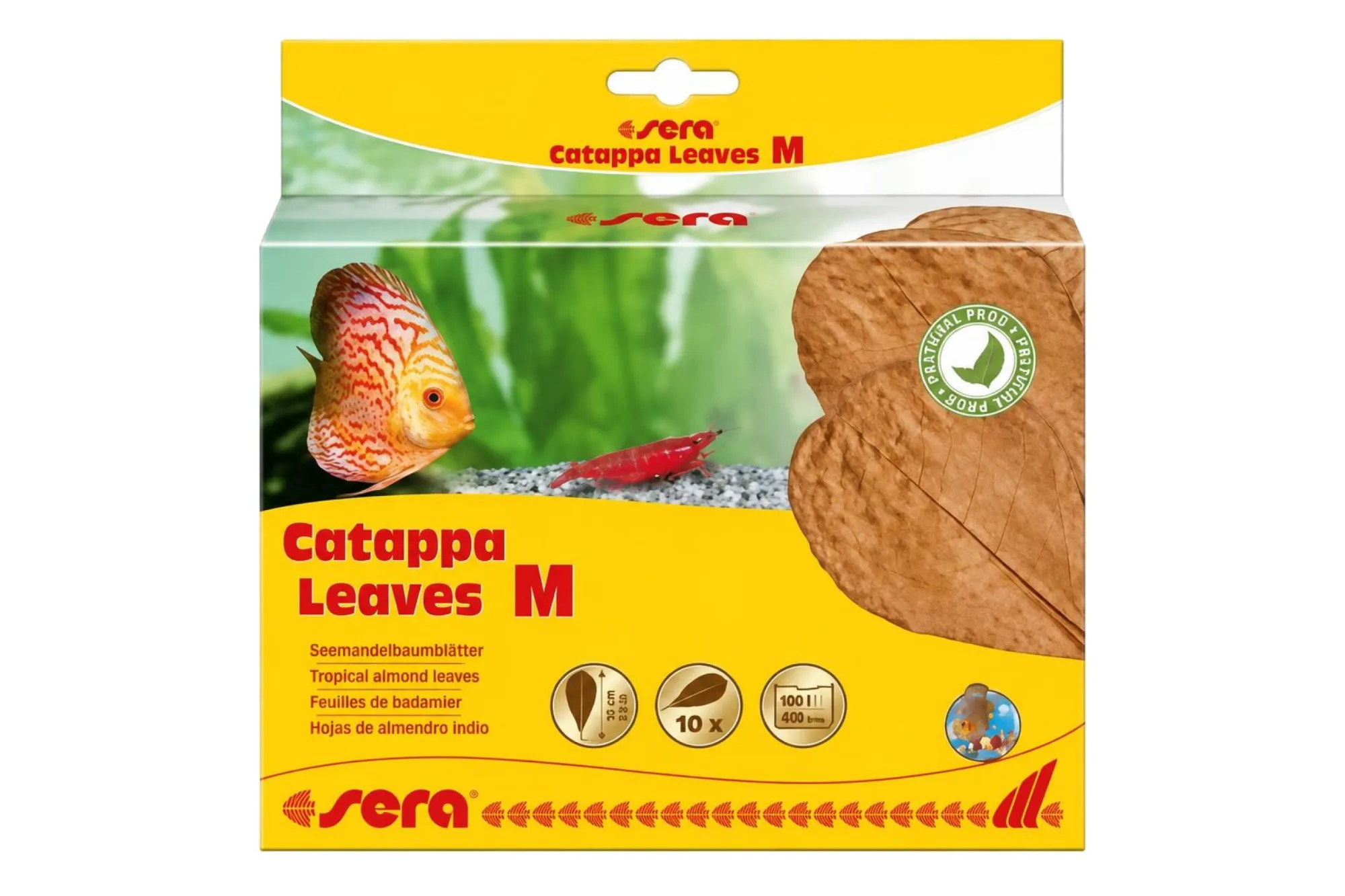 Sera Catappa Leaves M Seemandelbaumblätter, 10 Stück – KI-generierte Abbildung aus Produktreferenz