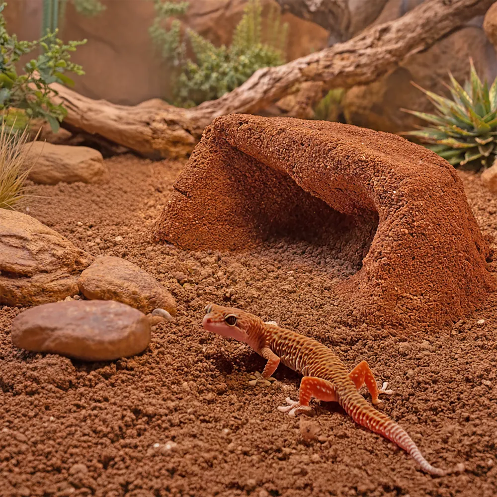 Terrarium mit rotem Hobby Terrano Clay Powder Lehmpulver (1,3 kg) als bindender Bodengrund; stabiles, aber grabbares Substrat dargestellt mit einem Gecko auf rötlichem Terrarienboden