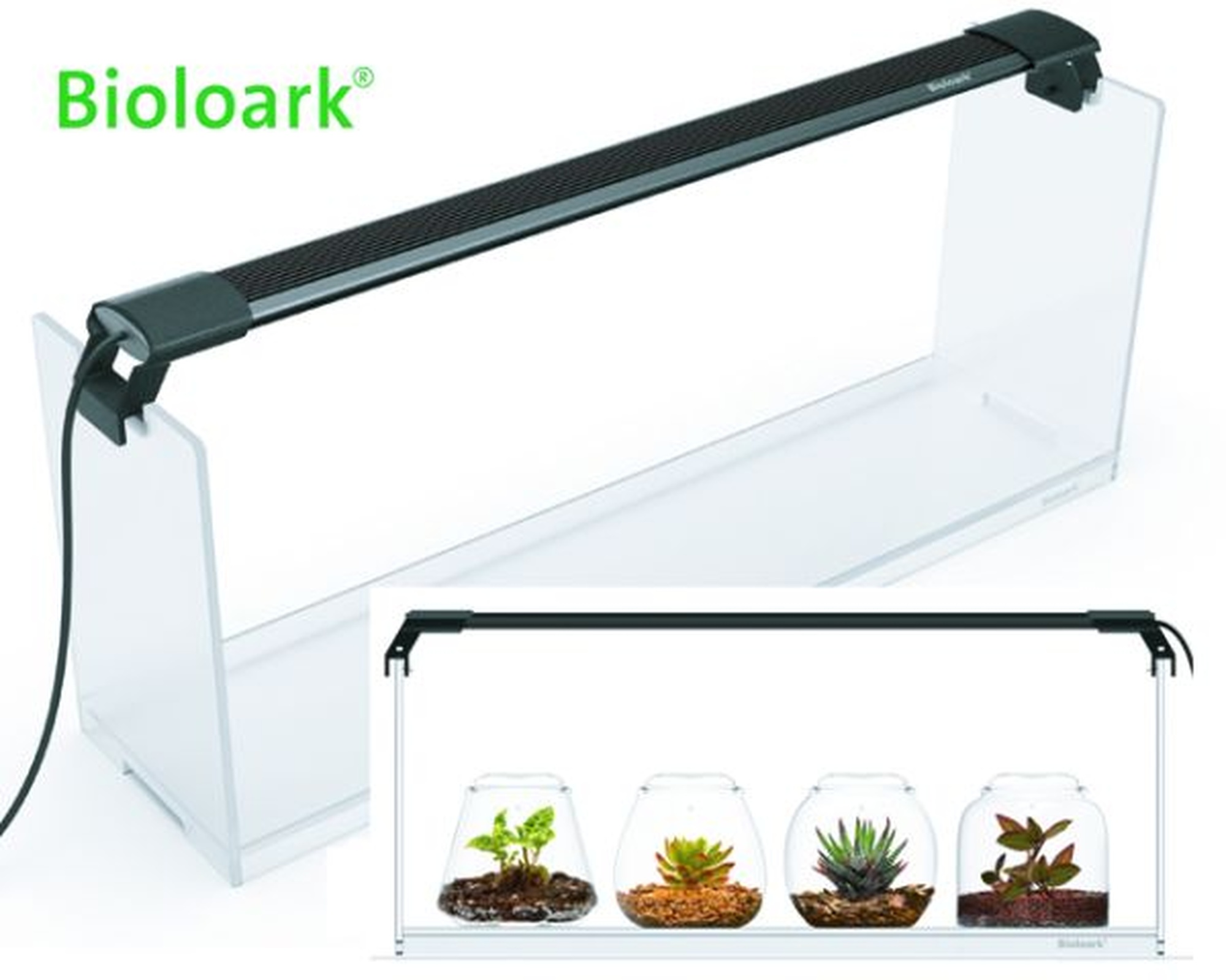 Bioloark Wabi-Kusa Set, Gift Box LH-02